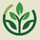 green leaves in disk shows health and wellness for human being